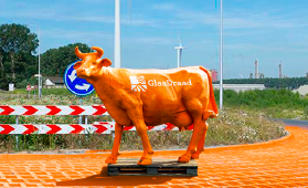 levensgrote oranje koe