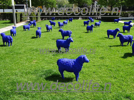 schaap ultra marijn blauw.