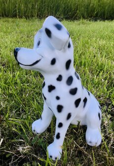 dalmatier puppy beeld wit met zwarte vlekken