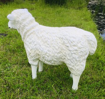 schaap polystone tuinbeeld 80 cm