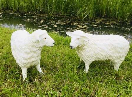 schaap Lam polystone tuinbeeld