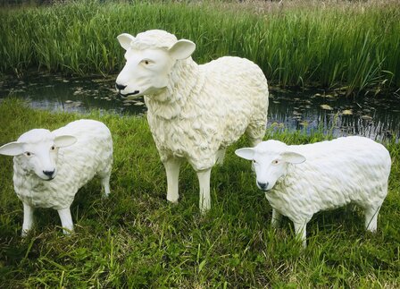 schaap kudde set van 3 polystone tuinbeelden  80 cm