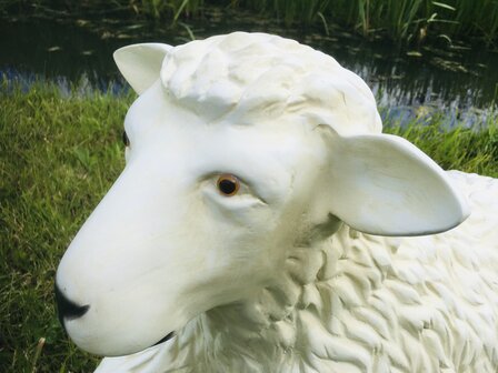 Schaap Beeld Polyester Liggend 