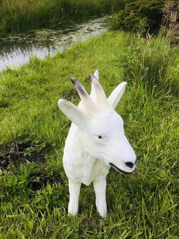 Geit bok  polyester beeld bok