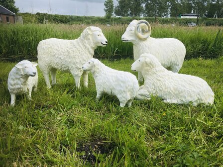 schaap kudde set van 5 polystone tuinbeelden  