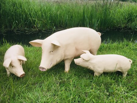 Varken  zeug met twee biggen 