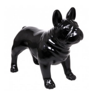 franse bulldog  hoogglans   zwart-hond