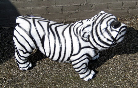 engelse bulldog Ceasar 65cm polyester zebra