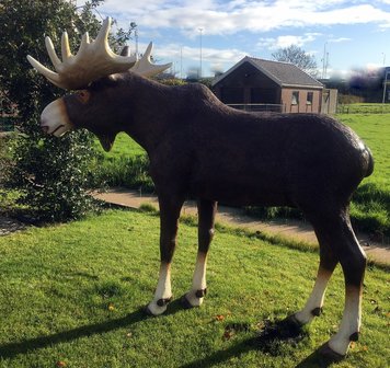 eland levens groot beeld polyester beeld 