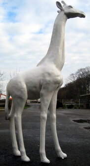 giraffe wit hoogglans  polyester beeld