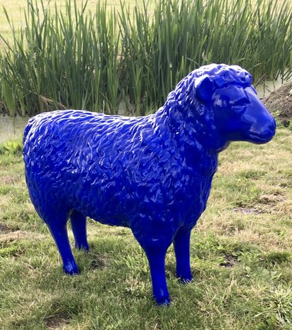 schaap ultra marijn blauw.