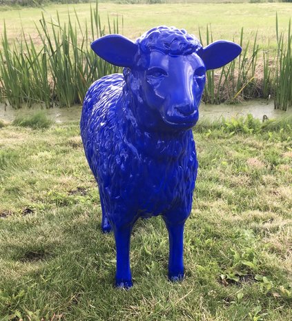 schaap ultra marijn blauw.