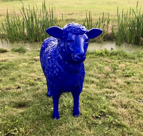 schaap ultra marijn blauw.