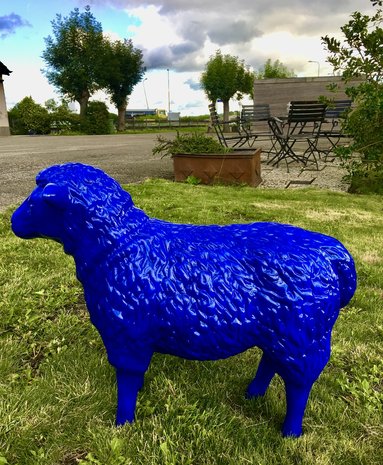 schaap ultra marijn blauw.