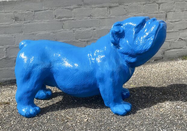 engelse bulldog-Ceasar-65 cm -polyester beeld blauw