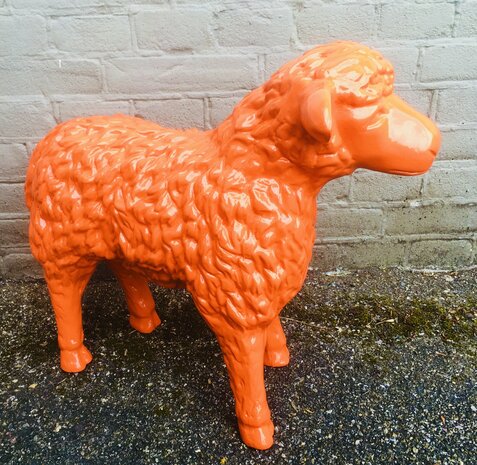 schaap oranje 180050