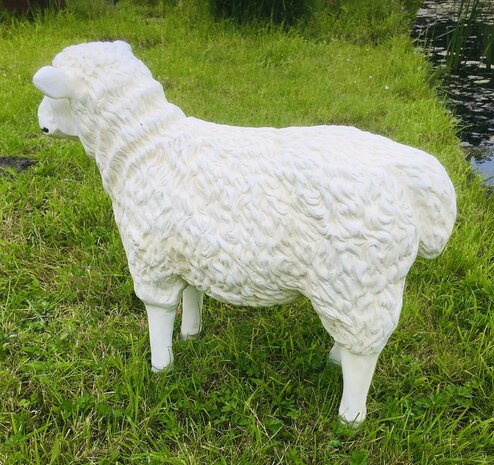 schaap polystone tuinbeeld 80 cm