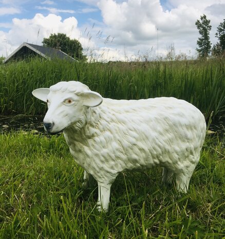 schaap Lam polystone tuinbeeld