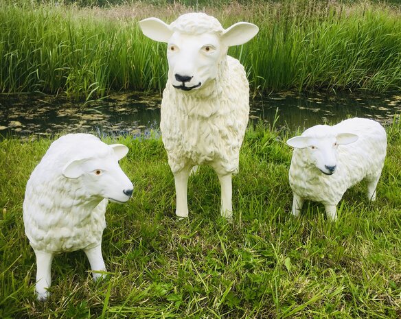 schaap kudde set van 3 polystone tuinbeelden  80 cm