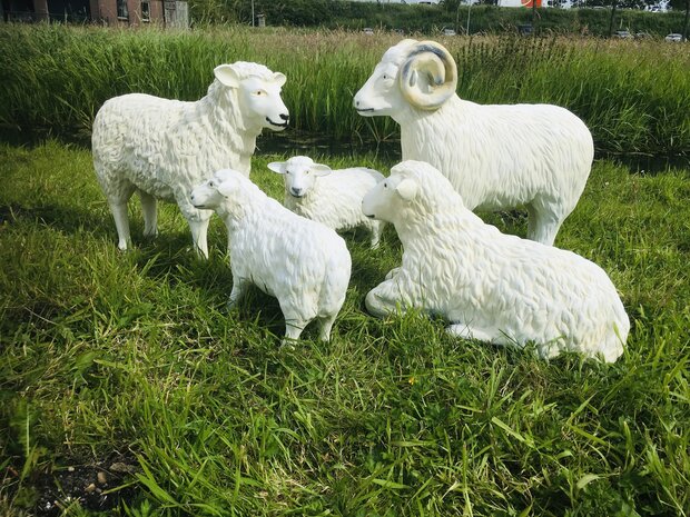 schaap kudde set van 5 polystone tuinbeelden  