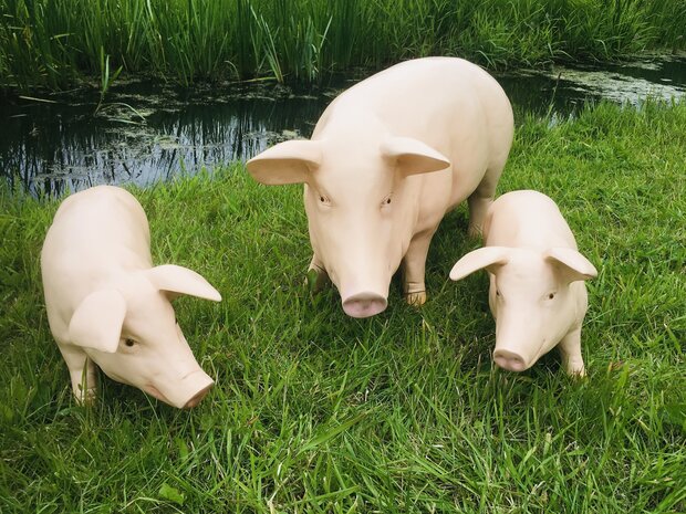 Varken  zeug met twee biggen 