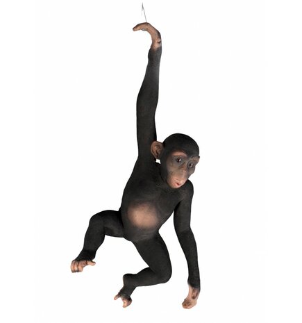 chimpansee polyester