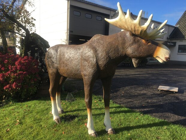 eland levens groot beeld polyester beeld 