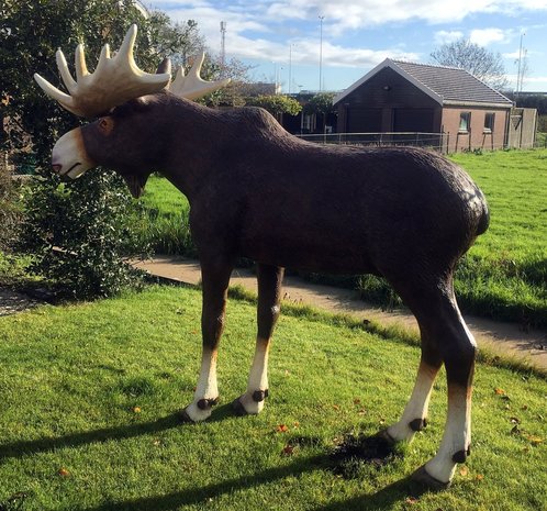 eland levens groot beeld polyester beeld 