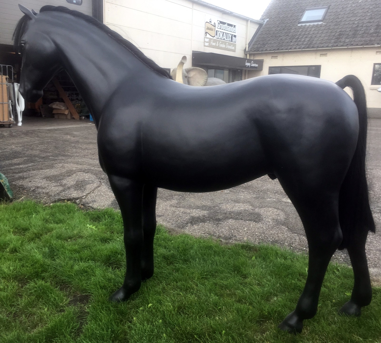 Absoluut Wanorde Aanwezigheid Prachtig levensgroot paardenbeeld - mat zwart - Decolife - Dé  polyesterbeelden en decoratie webshop