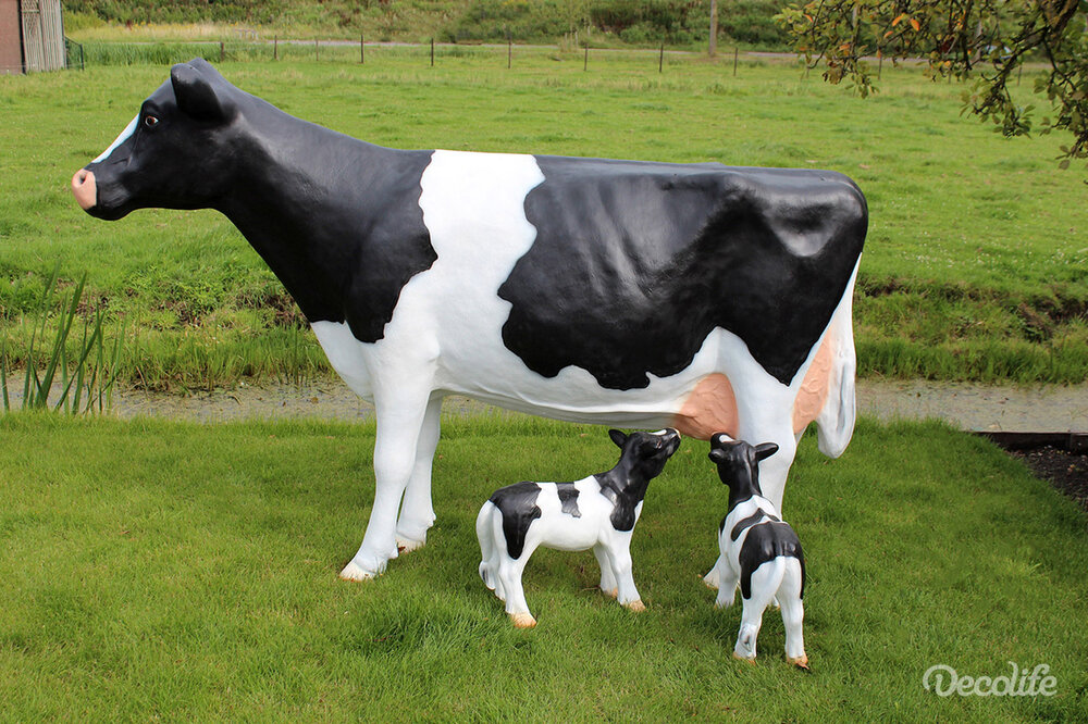 Holstein Friesian koe met 2 kalveren