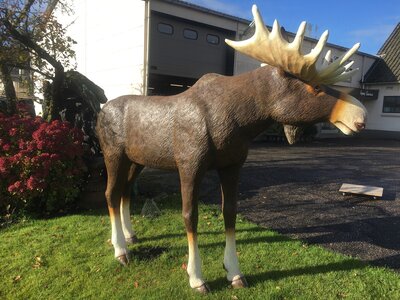 Eland Beeld Life Size  polyester