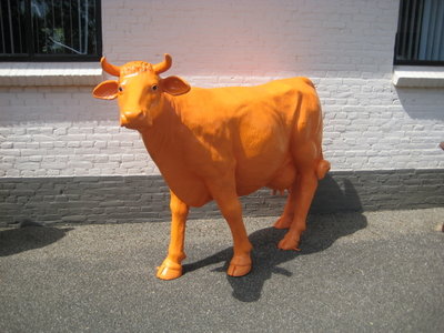 Koe oranje Levensgrote koe - oranje